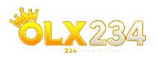 OLX234 logo