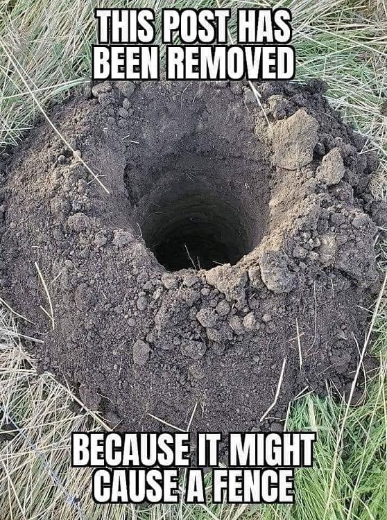 553337.jpg