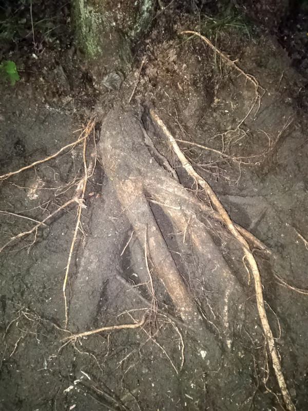 IMG 20251220 000749 042