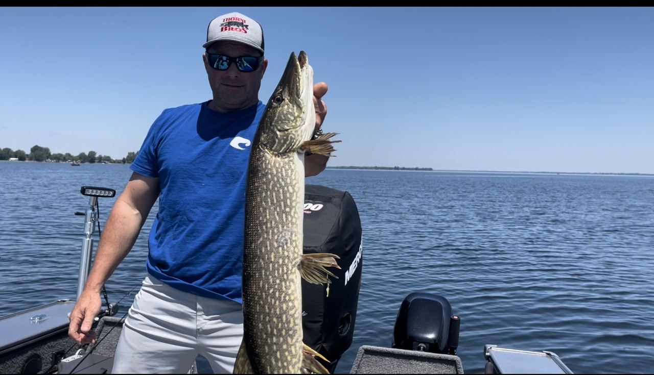 424E2579-C72B-454C-95A8-771003B14987