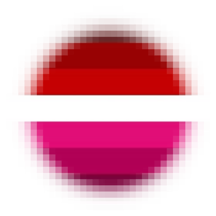 mean lesbian