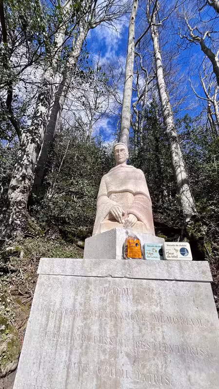 https://i.postimg.cc/N0NRqk7L/IMG-2991.avif