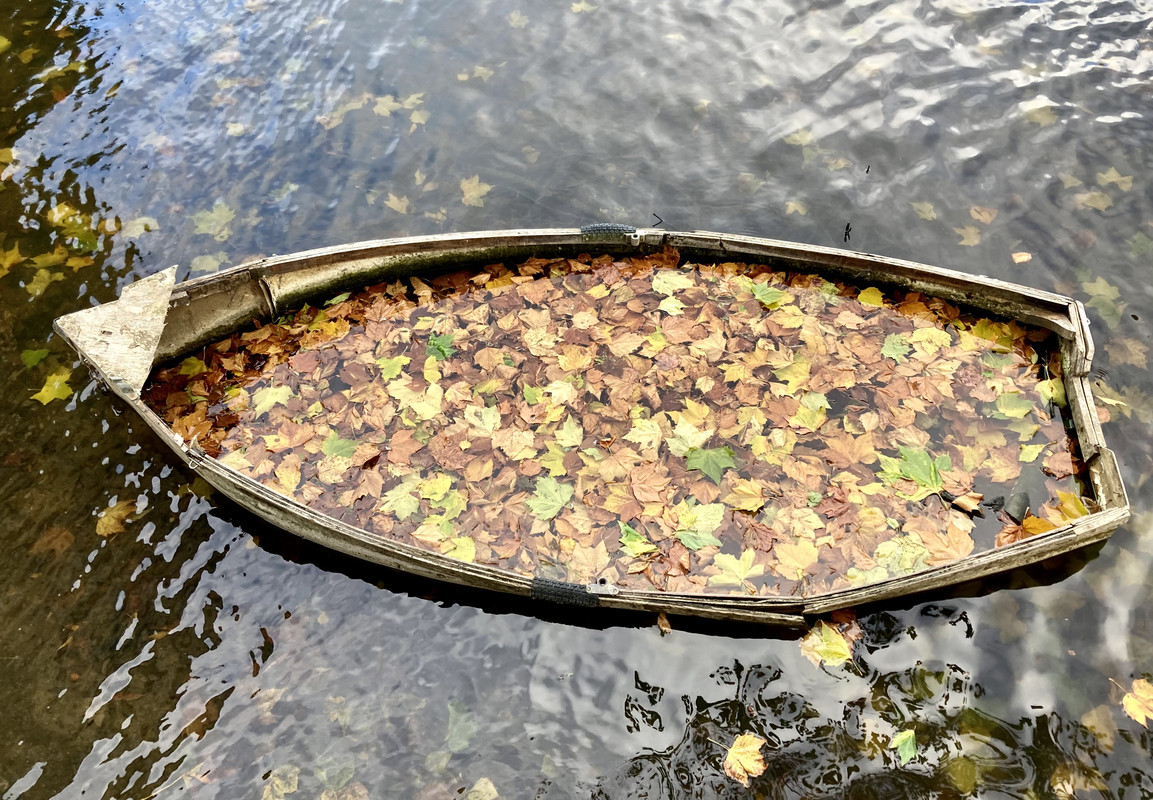 9C1AC30A-9556-4838-86CA-38EE0B851952