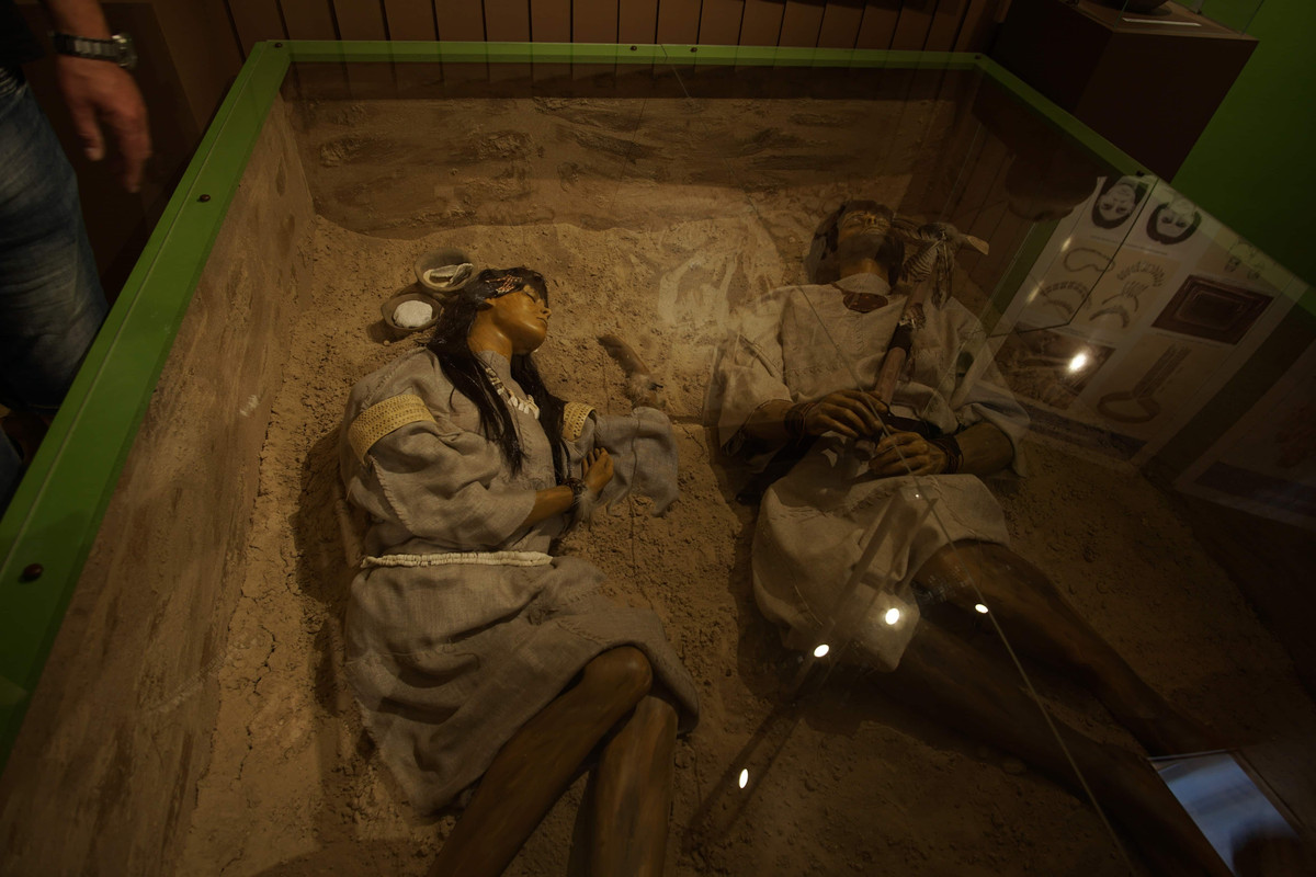 08.06 - DSC02044 (zbychowiec)