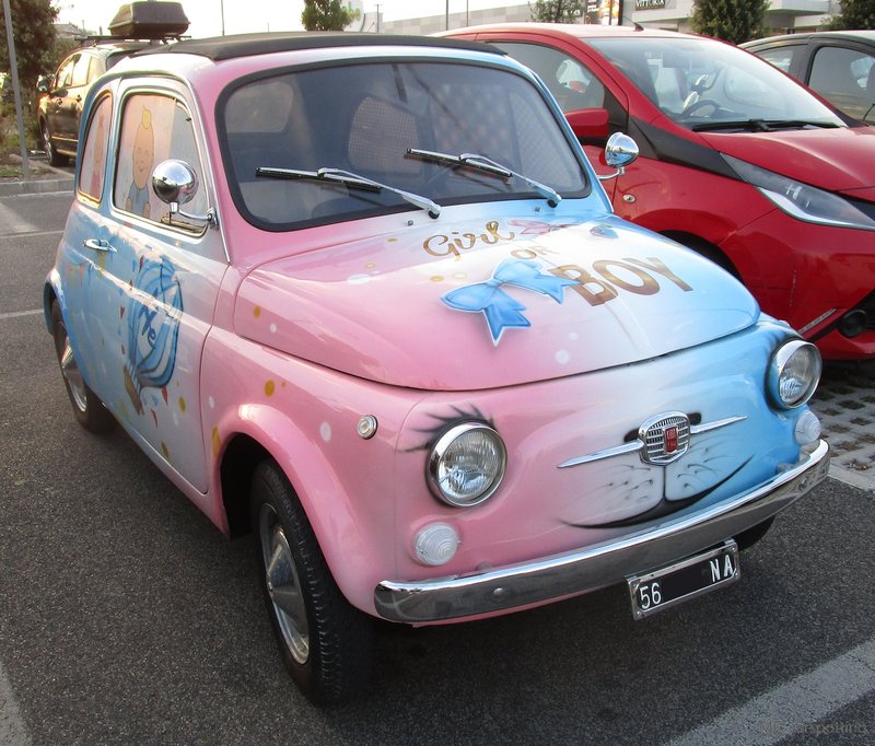 IMG-6119.jpg