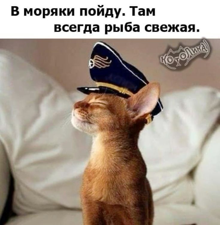 5ac38058c03ab47ce732b439b150f914