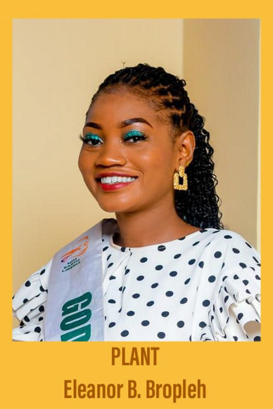 candidatas a miss earth liberia 2021. final: 12 june.  453127-C5-E14-C-4-AD2-8-E92-993-B57073-BA3