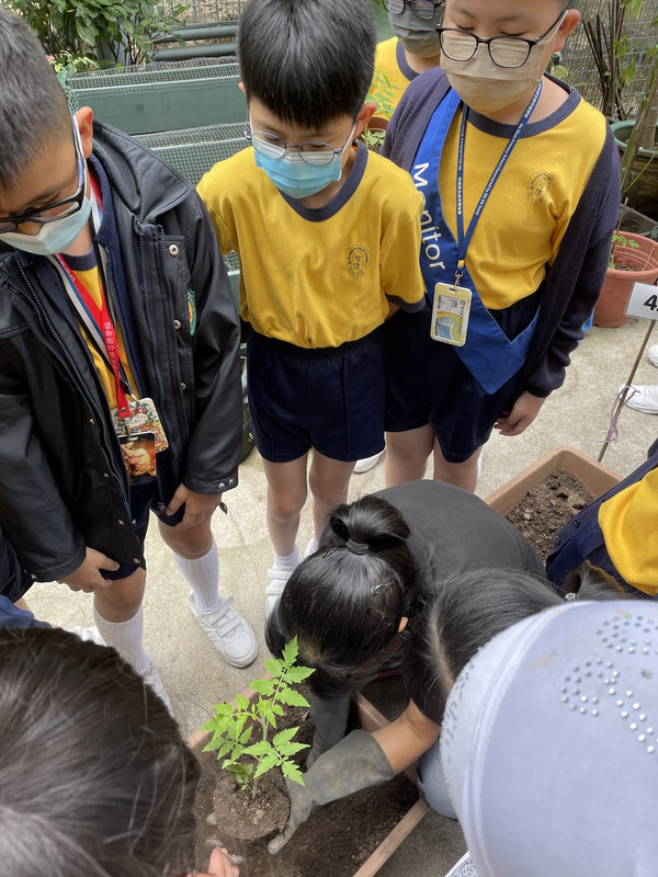 photo-littlefarmer2223-4A-001