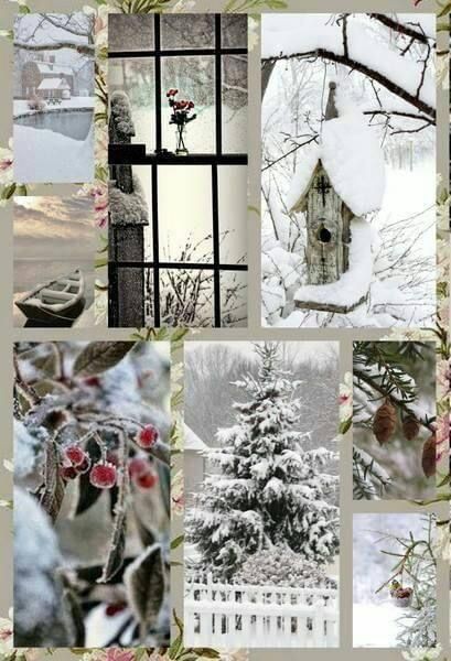 f6dd866898c4fa9c8fbfd0ec62f4064a