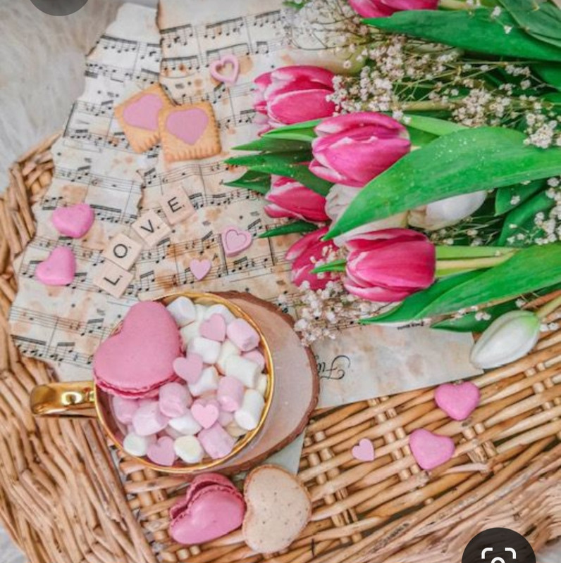 Screenshot_20230328_004702_Pinterest