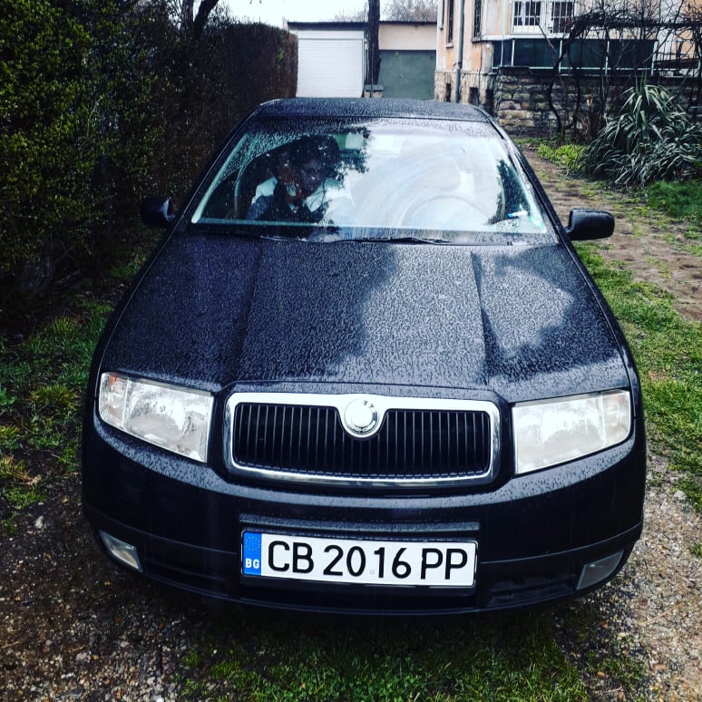 159115329-469575864086538-88524324703257