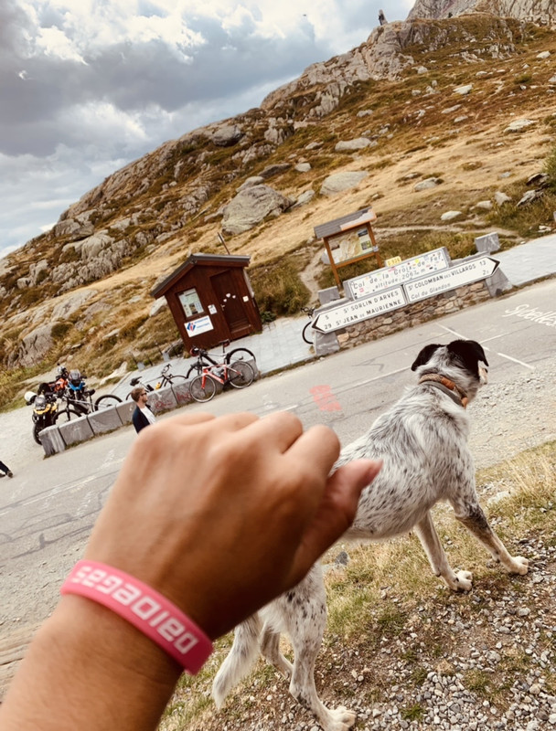 1C8917B6-8716-487B-BDF8-E0298076A3F1