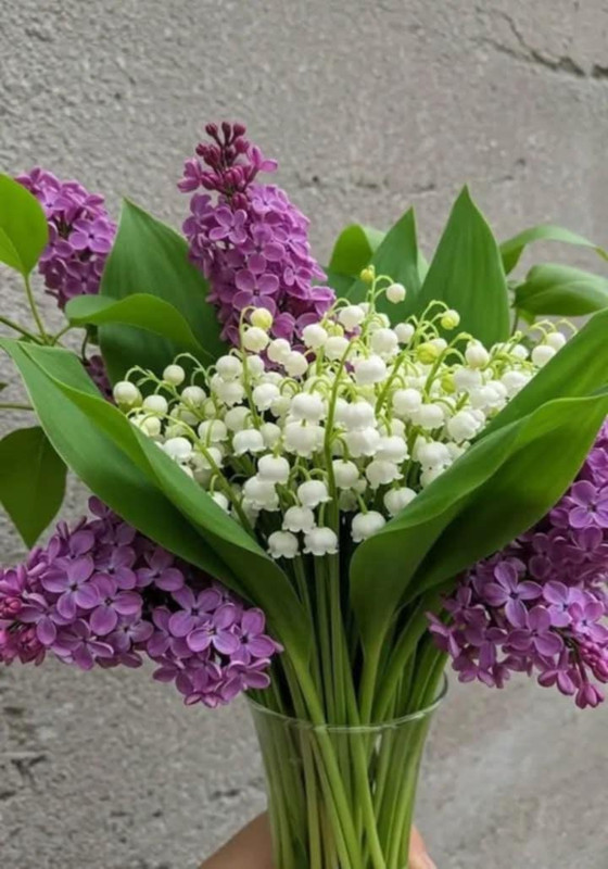 [Image: Messenger-creation-EB448-A60-8256-4287-A...252961.jpg]