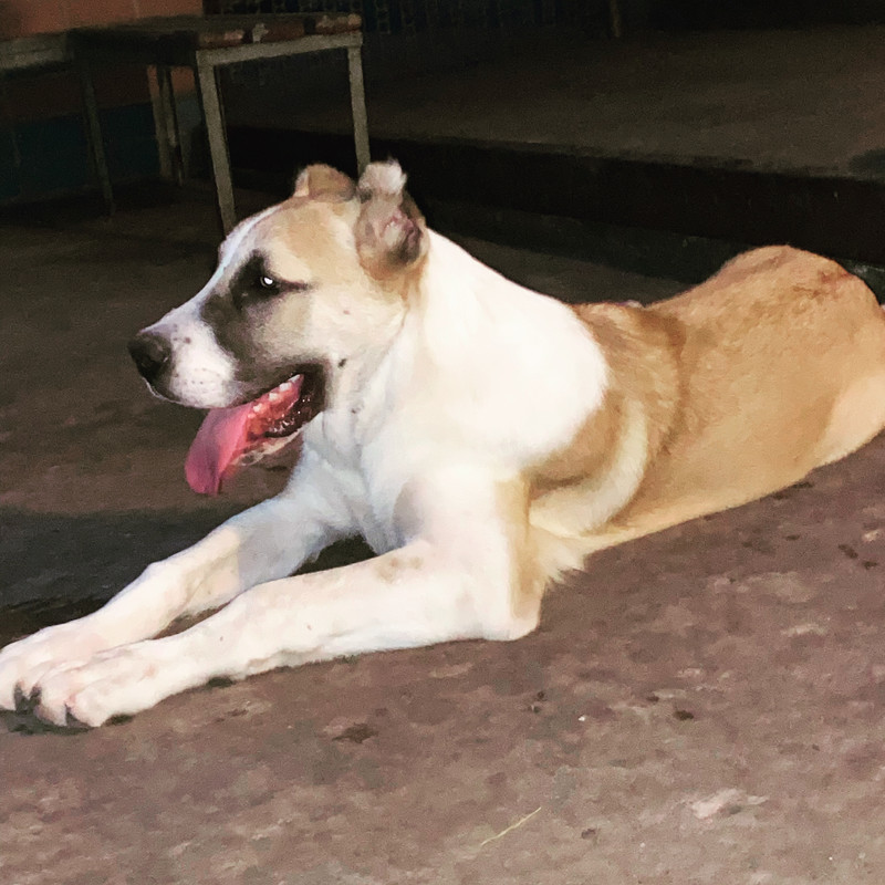 272C328B-9CDA-49F4-9F4F-753E89189696