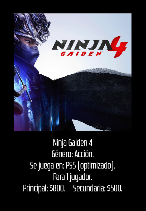 Ninja Gaiden 4