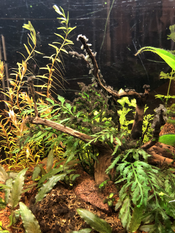 F44AAC85-33FD-4A3F-B99A-FBD014CB008D