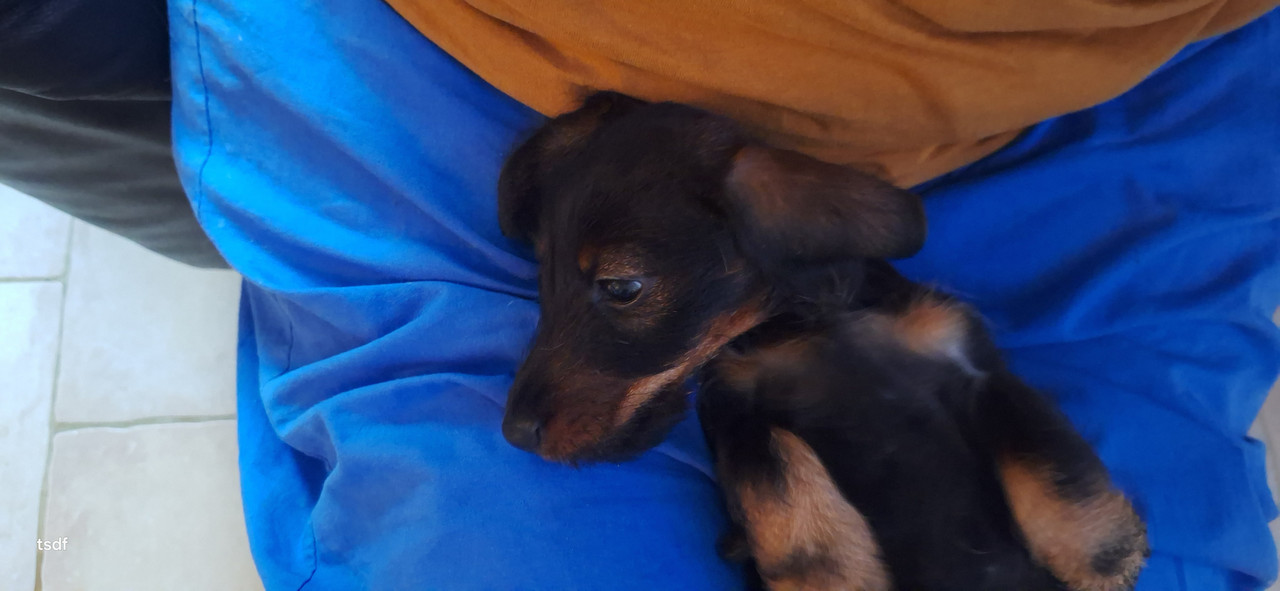 [Image: 20250714-203851.jpg]