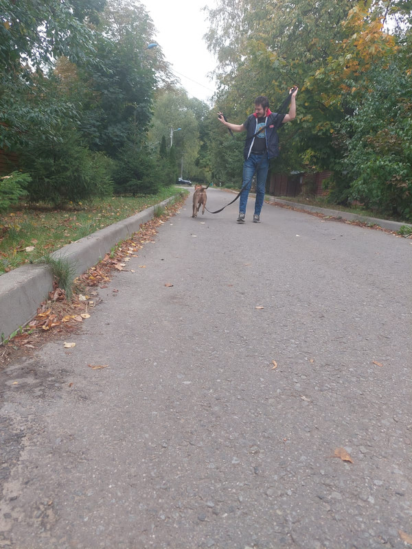 C915A21F-0F98-49A8-B440-E14430F7BAA2