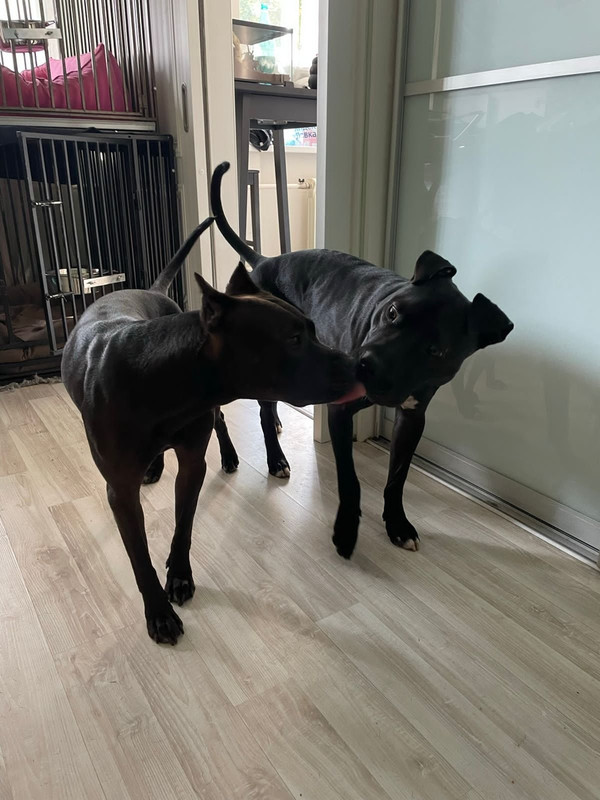 0DDD9E10-55DE-4834-8C60-3292EC2CE585