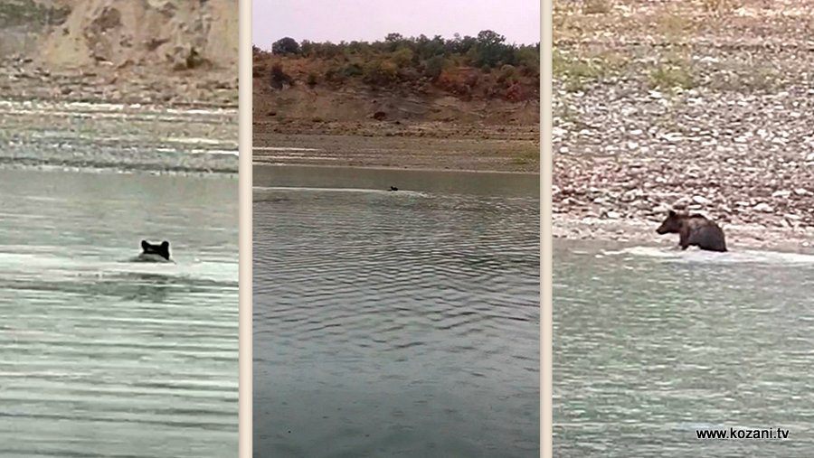 κοζάνη, ειδήσεις, νέα, Πτολεμαΐδα