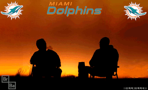 Dolphin-Breaking-Bad4.gif
