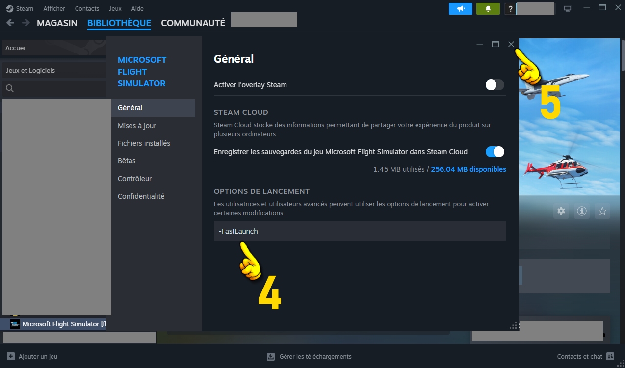 steam-msfs03.jpg