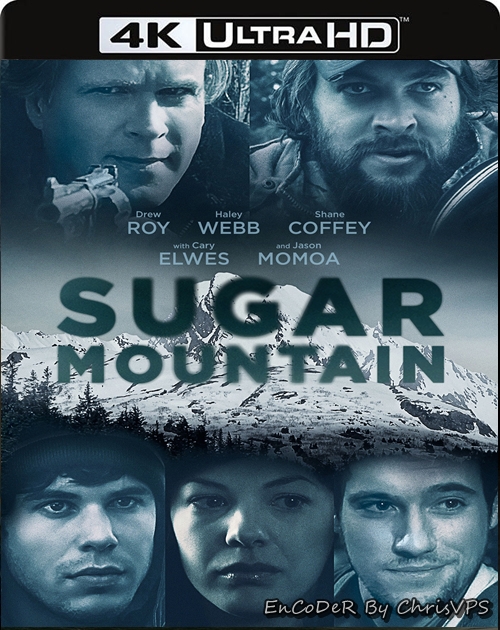 Sugar Mountain (2016) MULTI.HDR.2160p.BluRay.DTS.AC3-ChrisVPS / LEKTOR i NAPISY