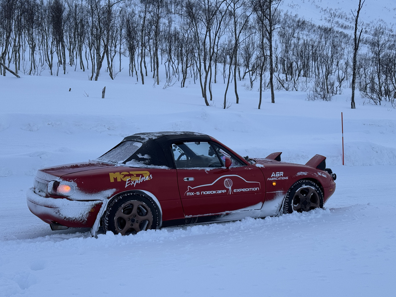 [Immagine: IMG-8291.jpg]