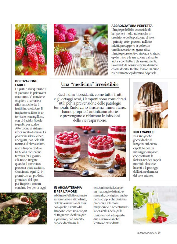 Il Mio Giar Giu-Lug 2025 (12)