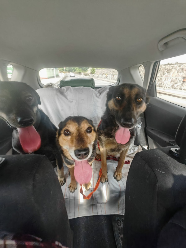 4An6qVtI9IsEkzuKQQD47PPOCIw3g2O2G-FYS77do1zDlEjxx5JA1KigMsCk24fZaf27lJwUoJOj2Pe8zVA5EhBV