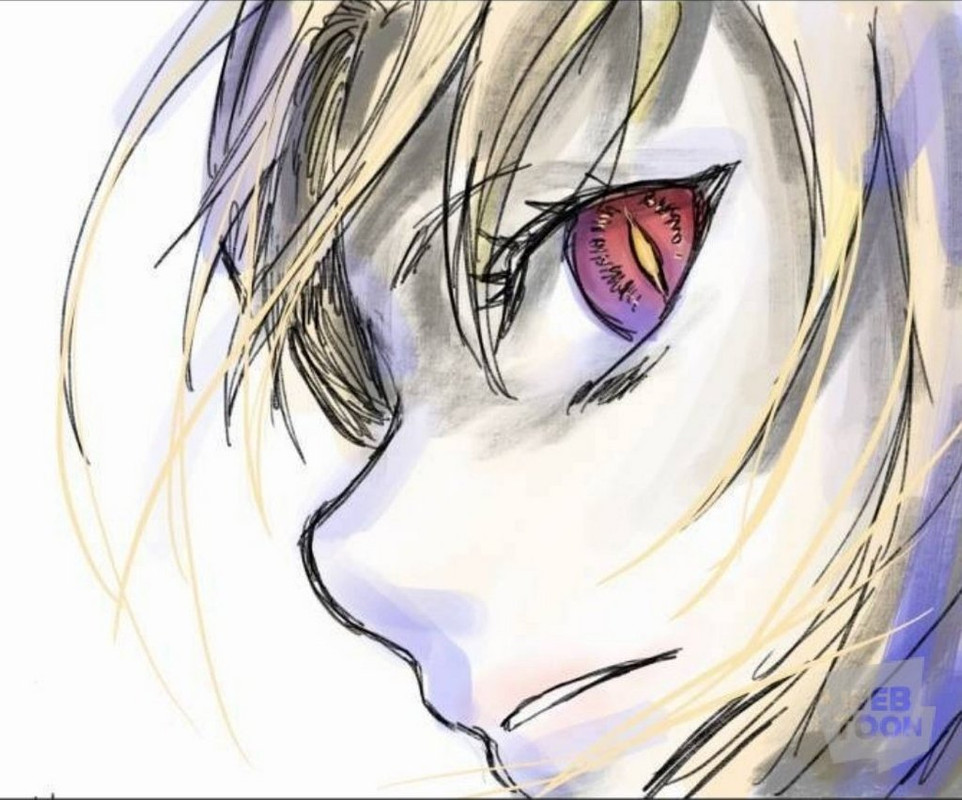 프레이 마이어3