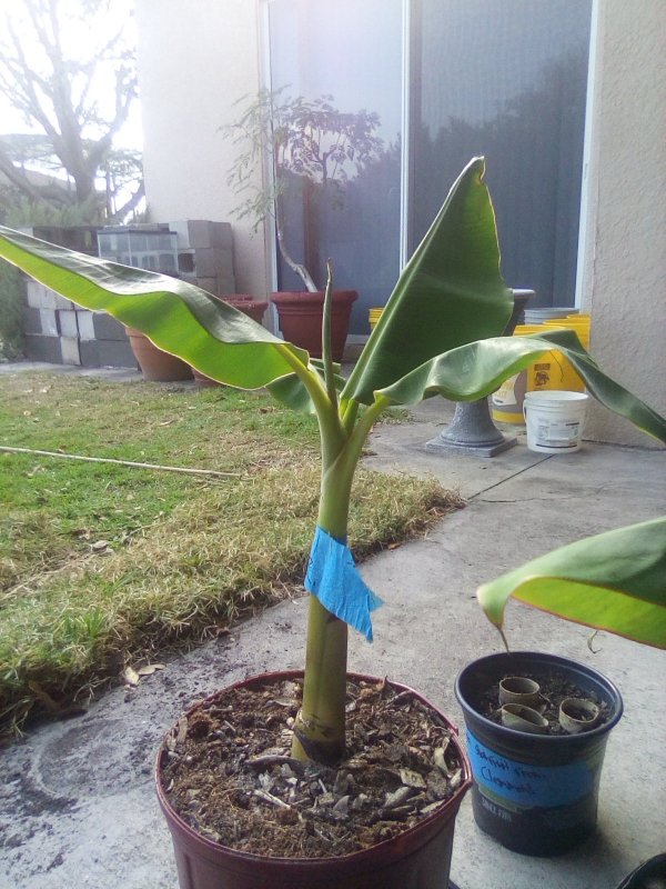 IMG_20200213_151910 (1)