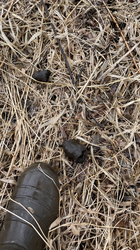 B9832D11-06D0-482E-BEB9-A0B81AFD8E2D