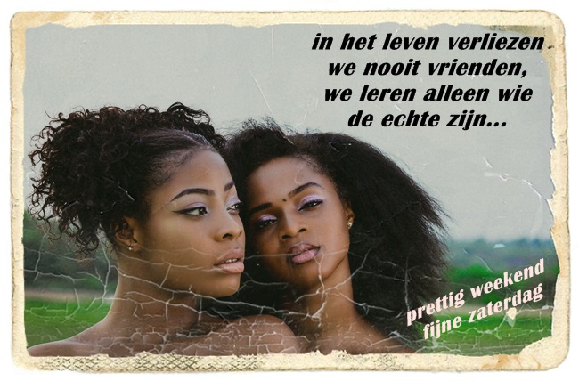 welkom opblog Bunic Jos