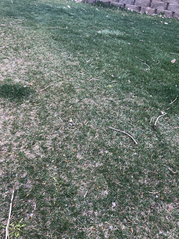 23A84254-CB5E-4CFA-8D57-AC677FCE451B