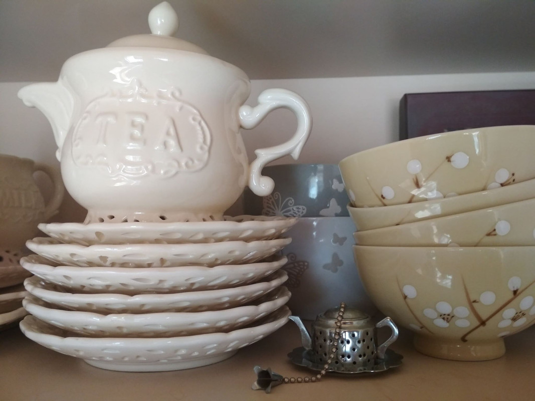 73047934_410229539672990_2642617687020142592_n