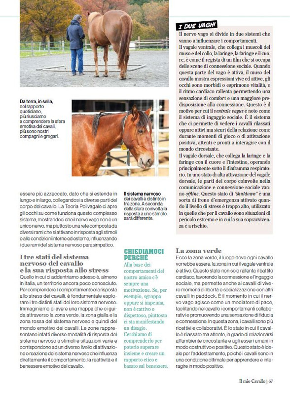 Il Mio Cav (Set-Ott 2024) 10