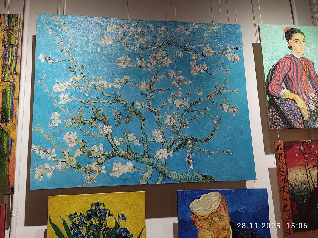 IMG 20251128 150641