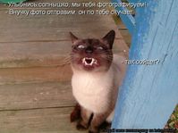 thumb_704724_20101023_1069573883