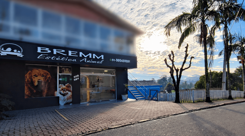 Estrutura da Bremm — foto 4