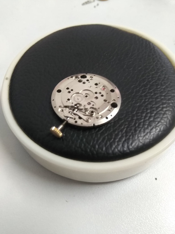 68438775_2204491356521174_829760722077483008_n