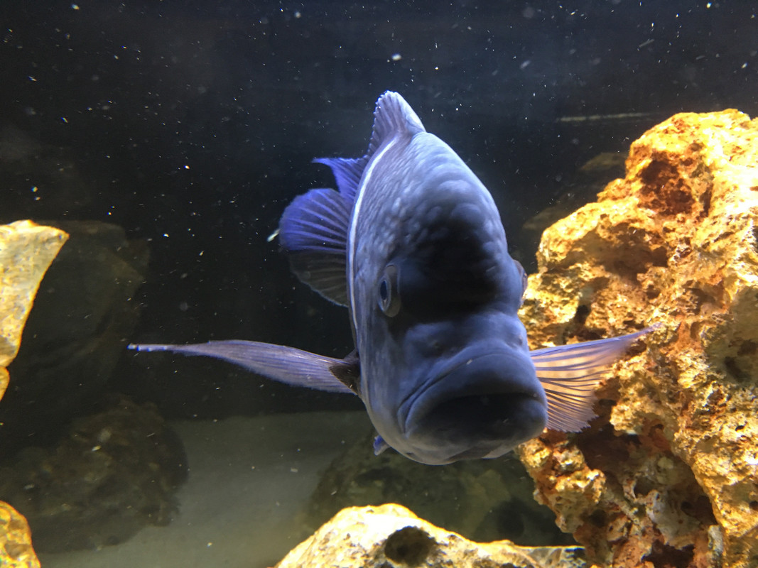 0B195838-04B8-4828-8D3E-7215BB5E8C73