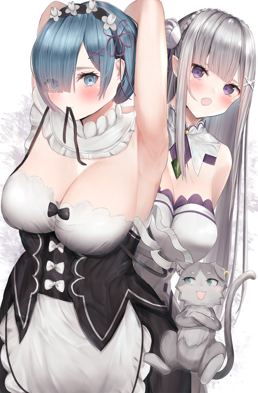 emilia-puck-and-rem-re-zero-kara-hajimeru-isekai-seikatsu-draw