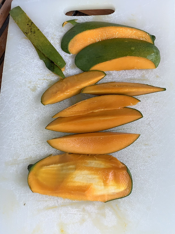 C4B1300B-7F2C-45CC-A2E9-9509CDEFC988