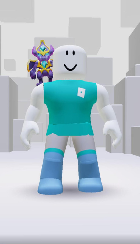 Roblox Skin 3