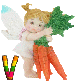 Adoro las Zanahorias V