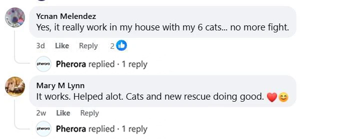 Customer review screenshot 3
