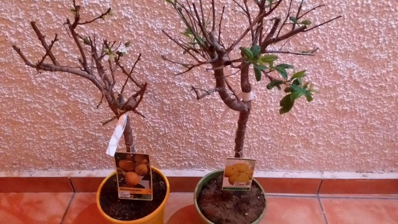 IMG_20191213_194339315 (2)