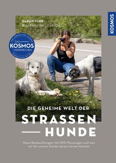 Die-geheime-Welt-der-Stra-enhunde.jpg