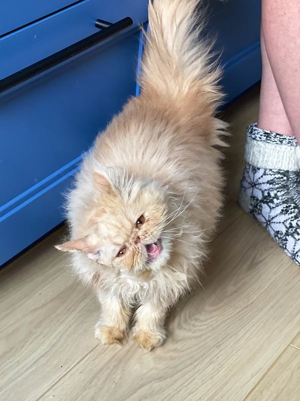 7A92209E-C6D3-4EAD-B082-D8FA39DBC972